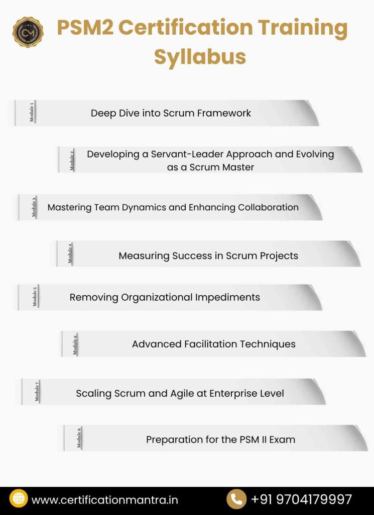 PSM2 Certification Training in Hyderabad syllabus