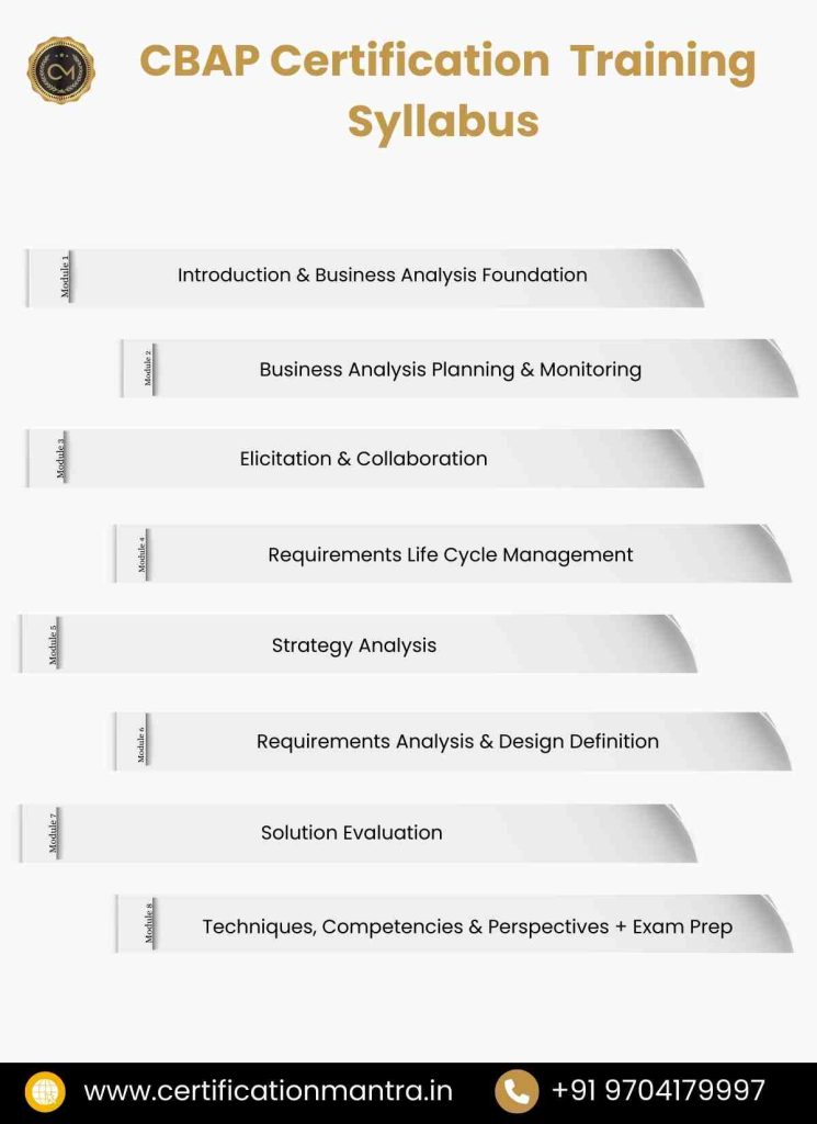 CBAP Certification Training in Hyderabad syllabus