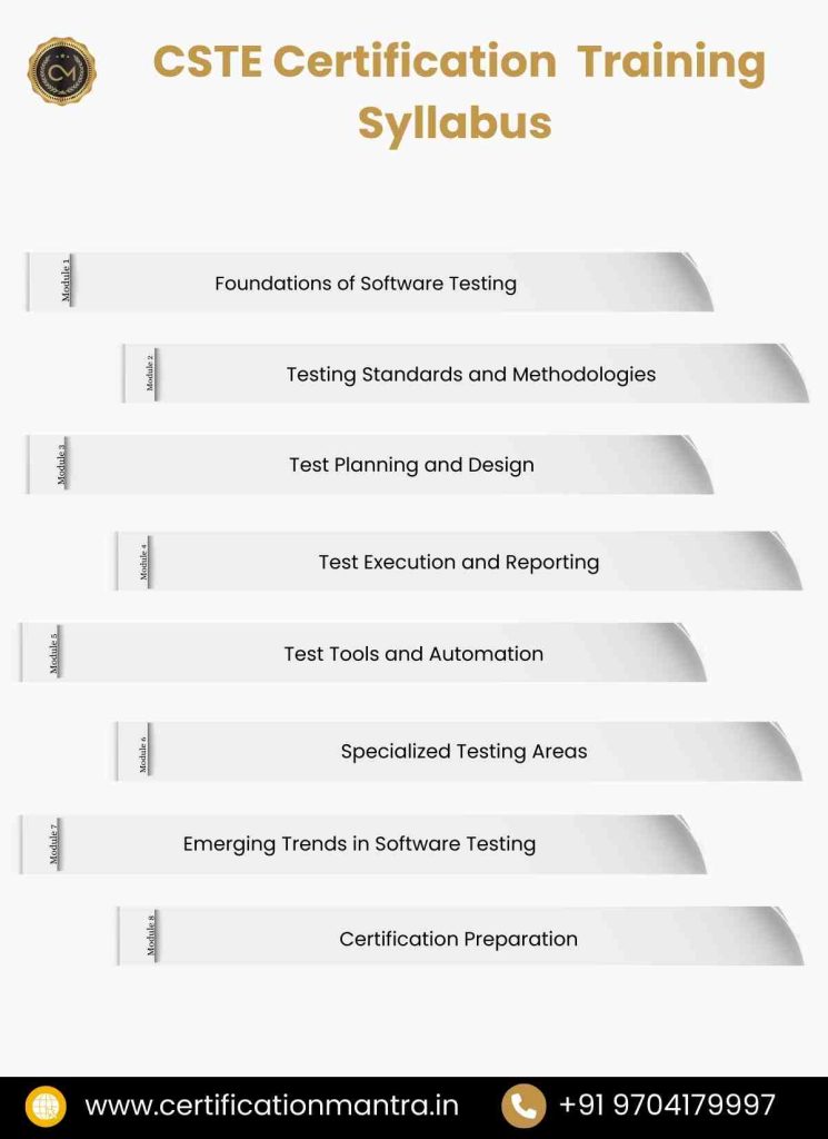 CSTE Certification Training in Hyderabad syllabus