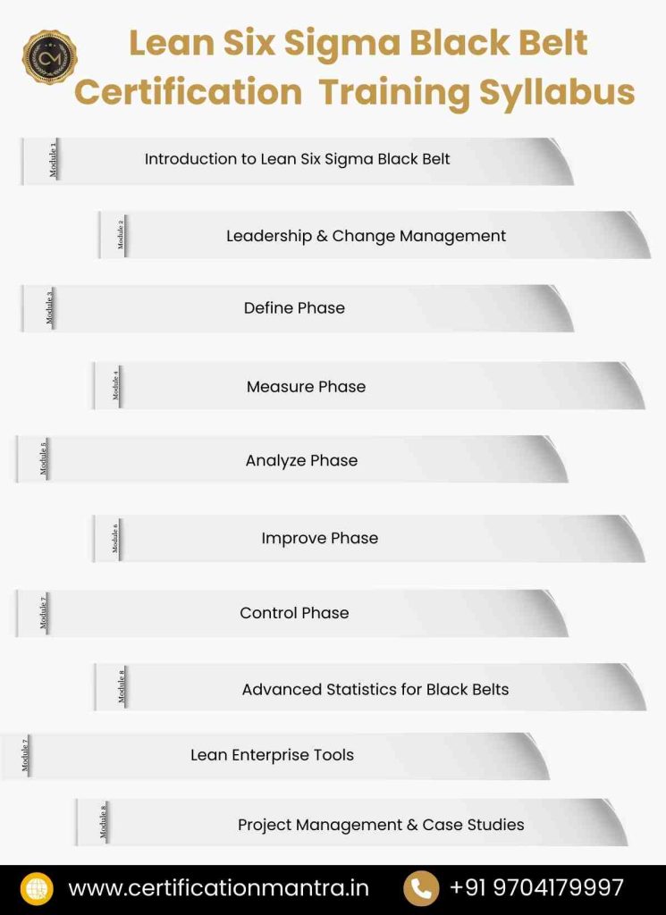 Lean Six Sigma Black Belt Certification Training in Hyderabad syllabus
