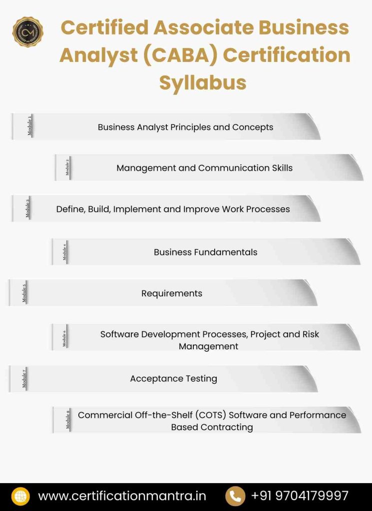 Certified Associate Business Analyst (CABA) Certification Training in Hyderabad syllabus