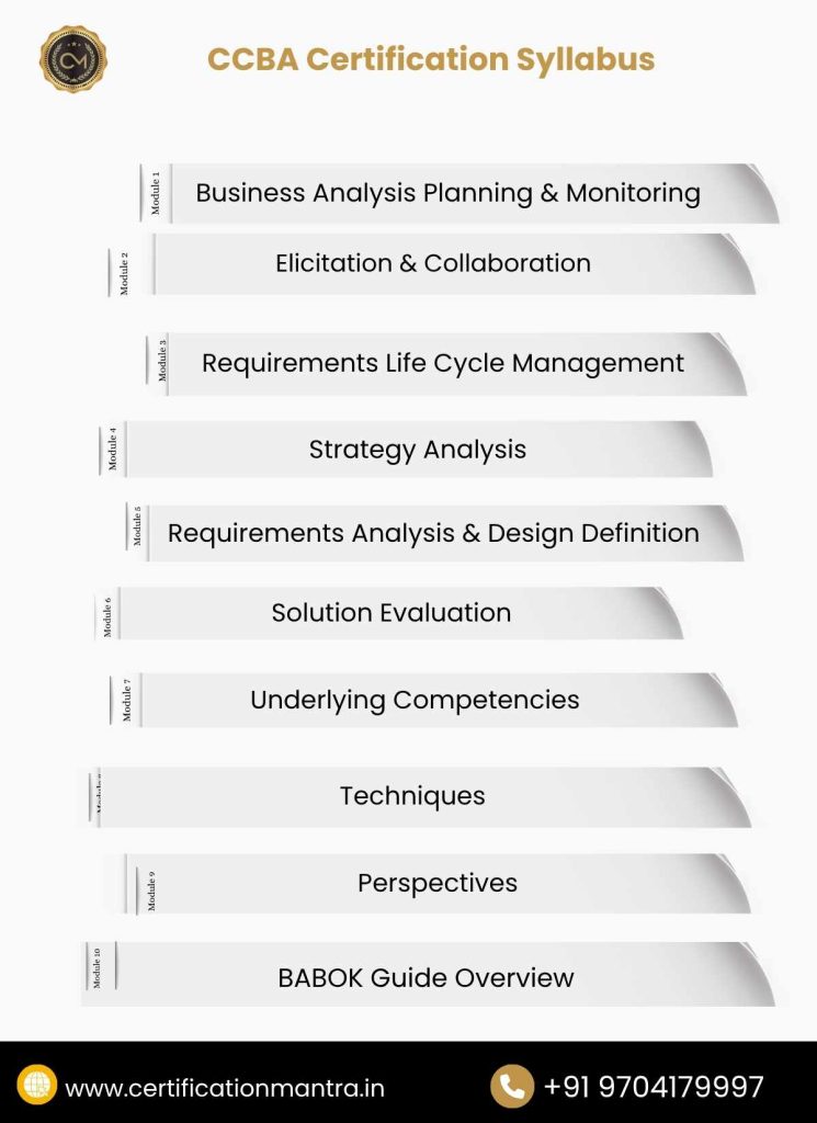 CCBA Certification Training in Hyderabad Syllabus