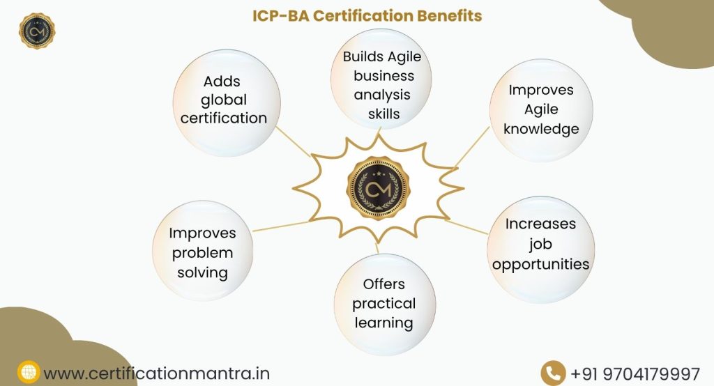 ICP-BA Certification Training in Hyderabad Benefits