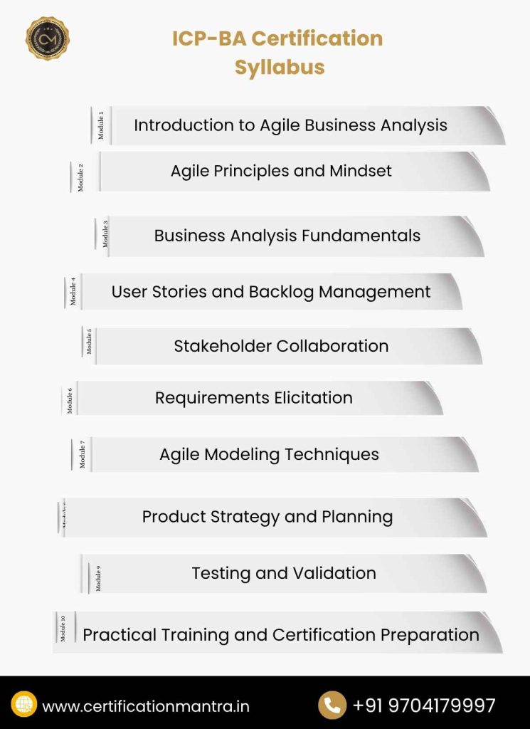ICP-BA Certification Training in Hyderabad Syllabus